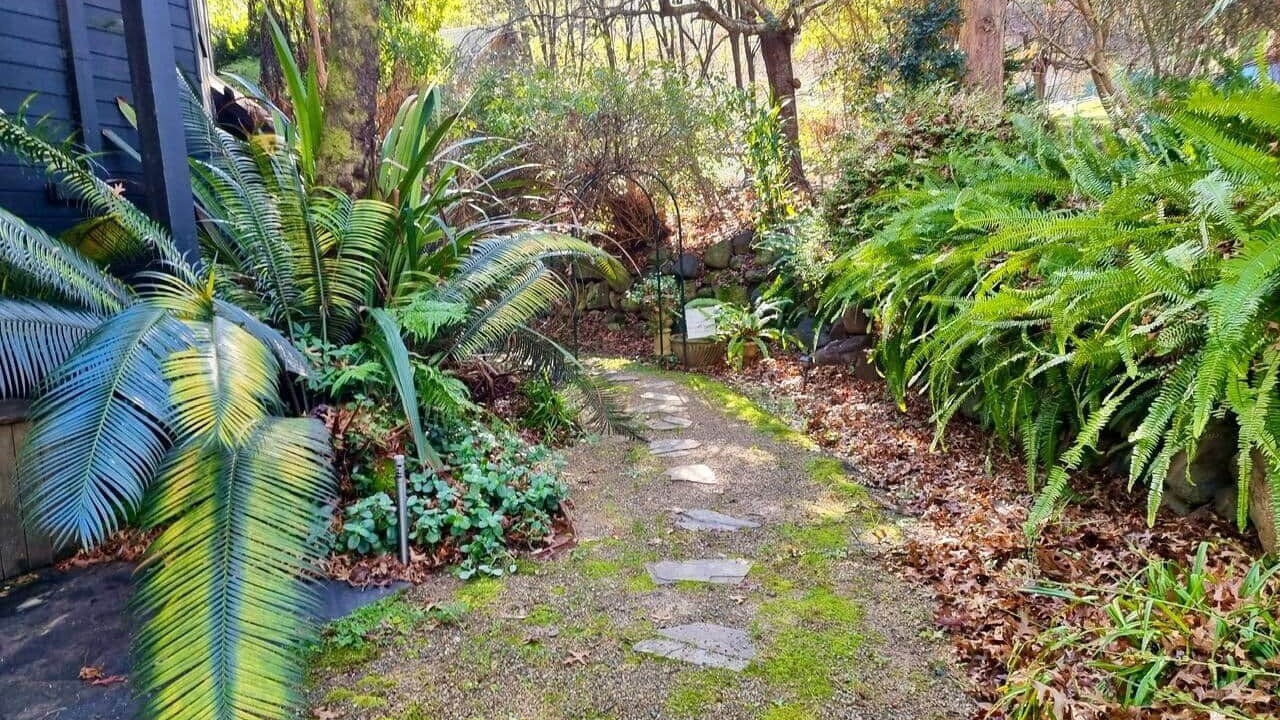 Photo of Outdoor in Warburton