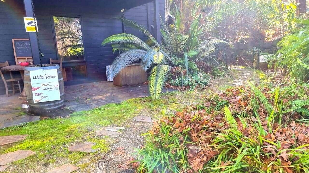 Photo of Outdoor in Warburton