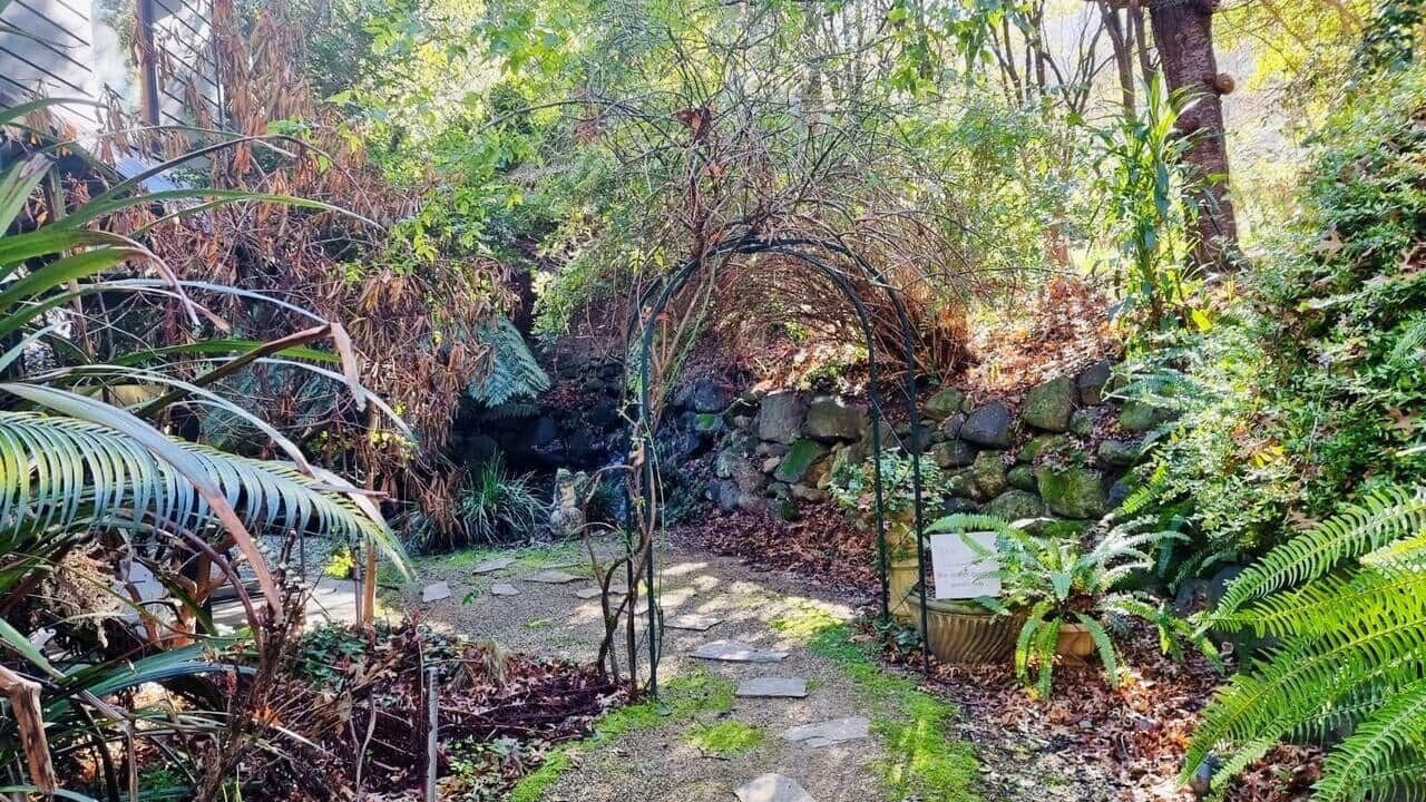 Photo of Outdoor in Warburton
