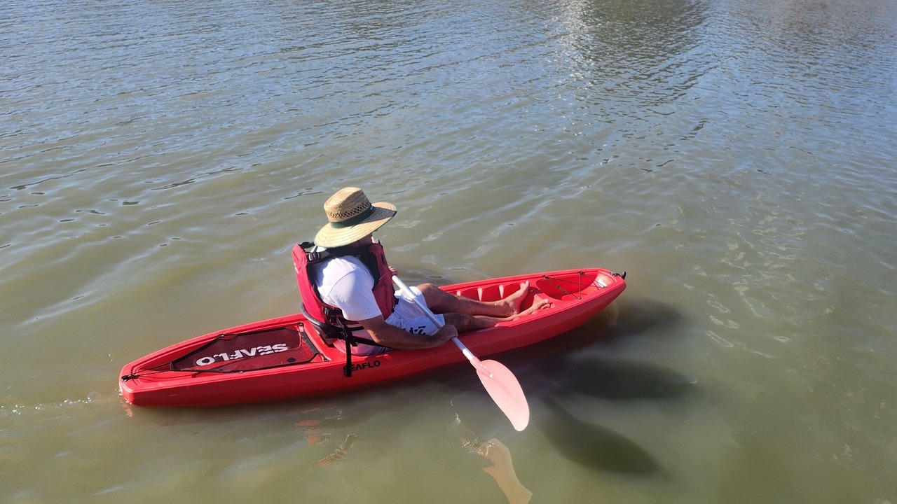 Photo of Others in Seymour