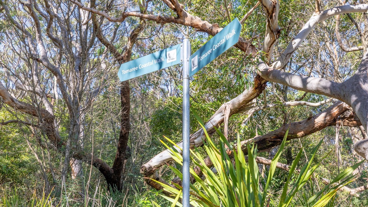 Photo of Outdoor in Fingal Bay