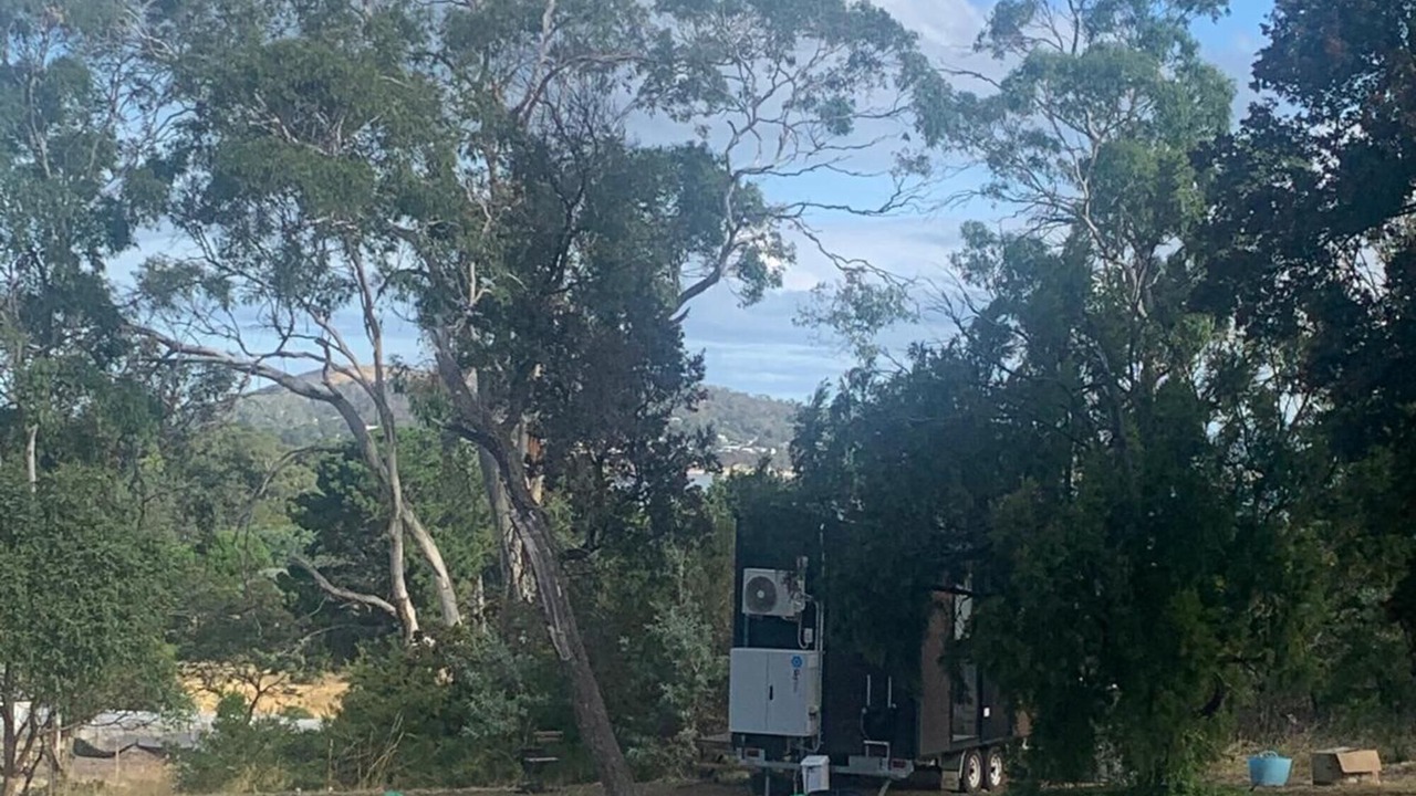 Photo of Others in South Arm