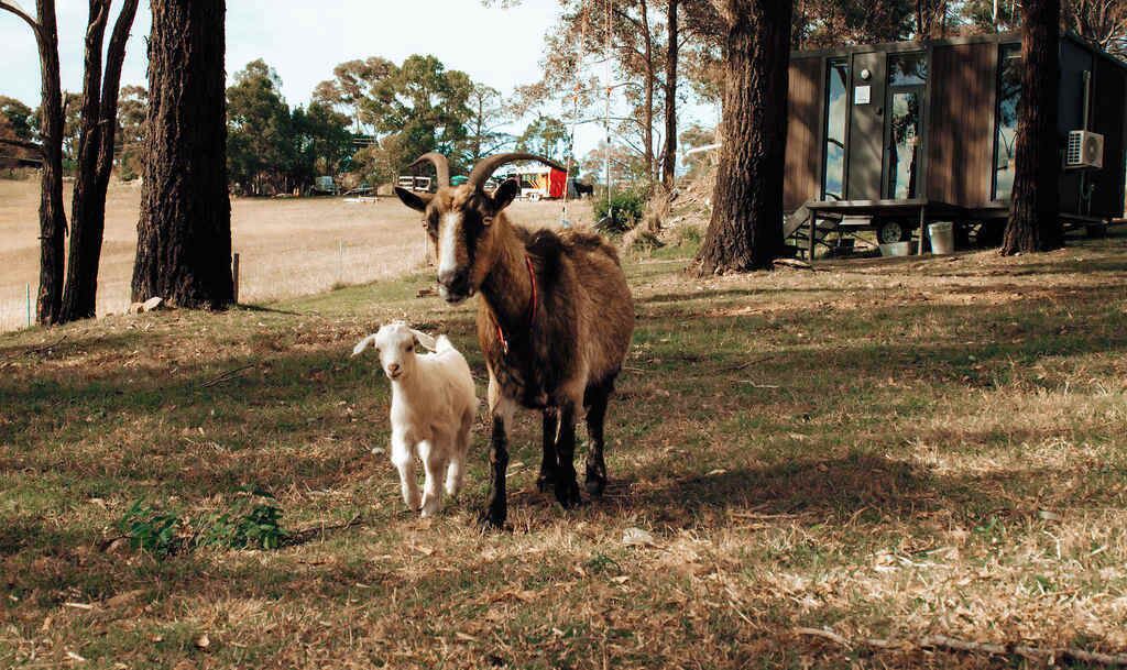 Photo of Others in Rainbow Flat