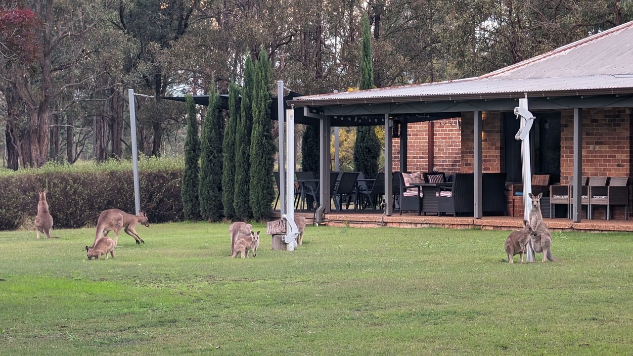 Photo of Outdoor in Pokolbin