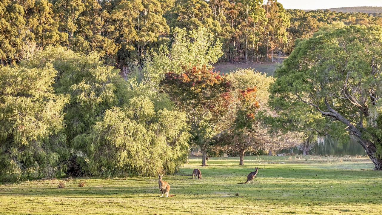 Photo of Others in Yallingup