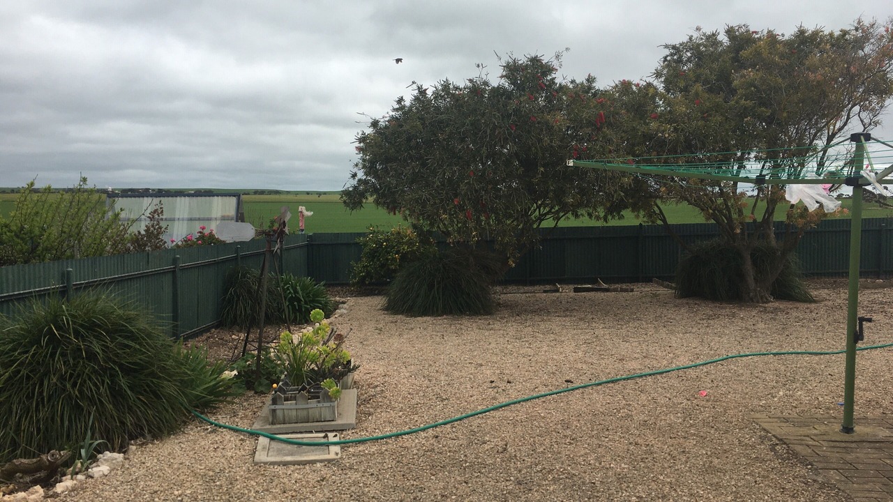 Photo of Outdoor in Tiddy Widdy Beach