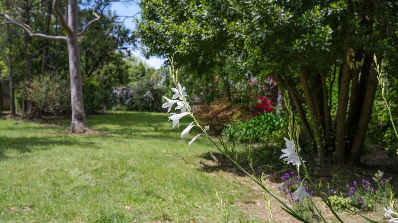 Photo of Outdoor in Wentworth Falls