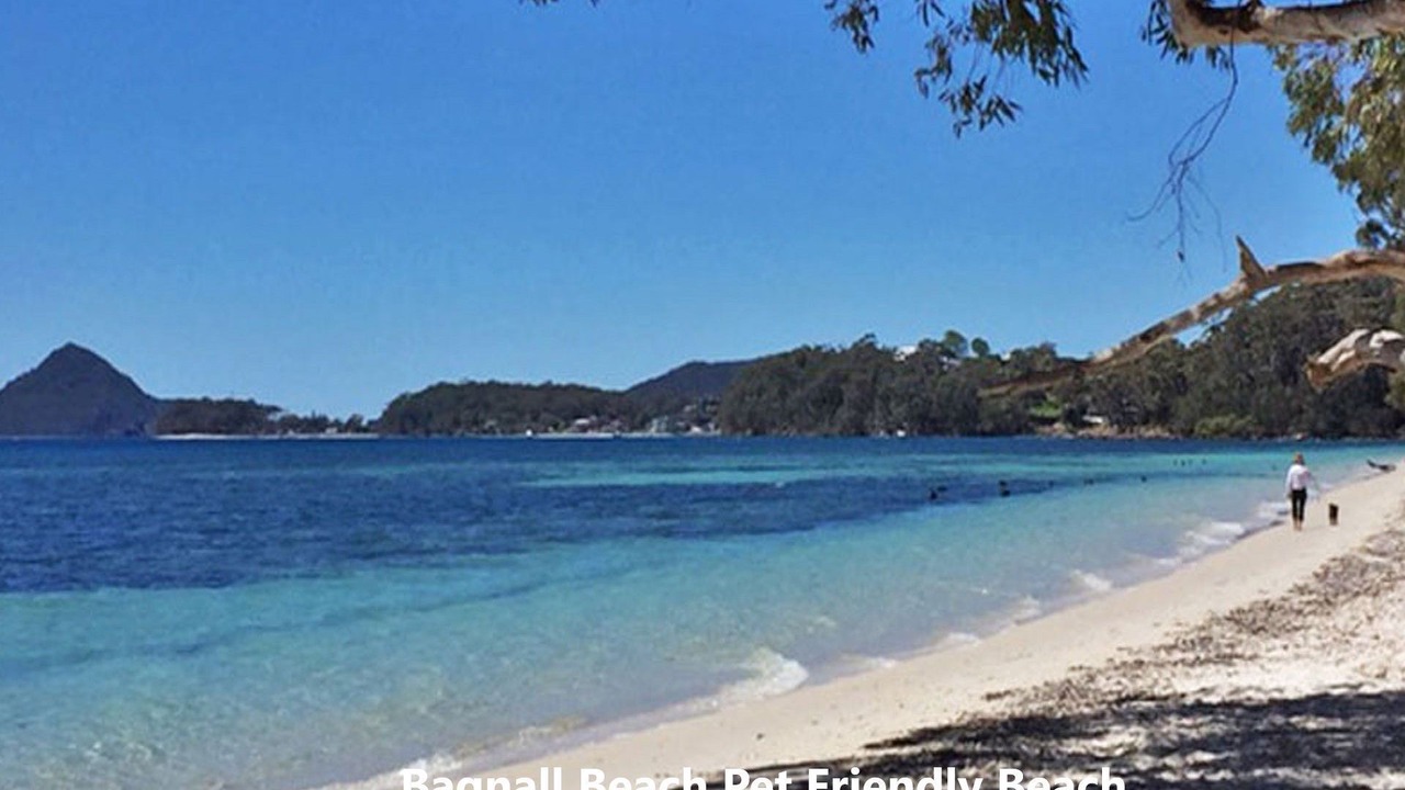 Photo of Others in Nelson Bay