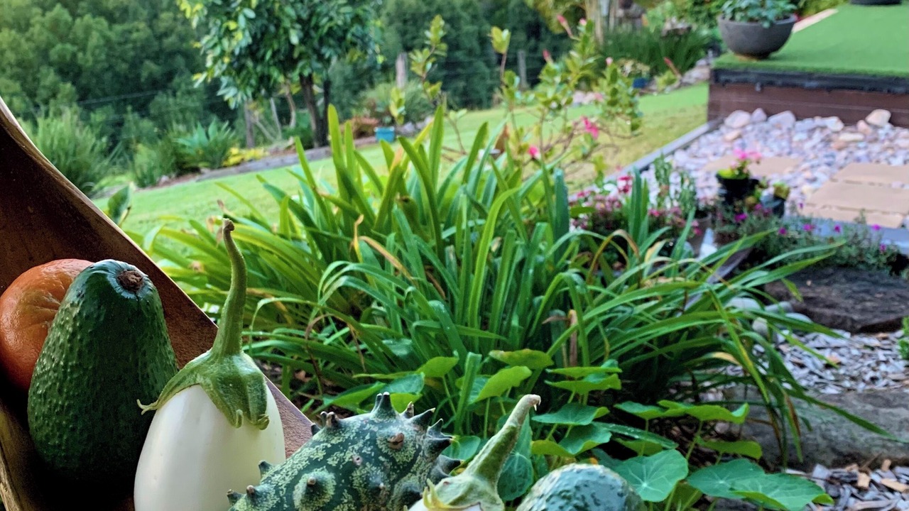 Photo of Others in Cooroy