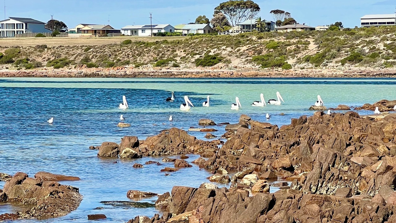 Photo of Others in Port Victoria