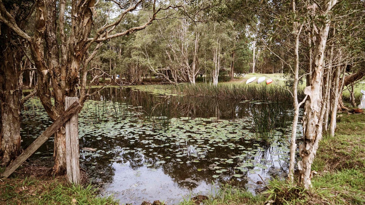 Photo of Outdoor in Boambee East