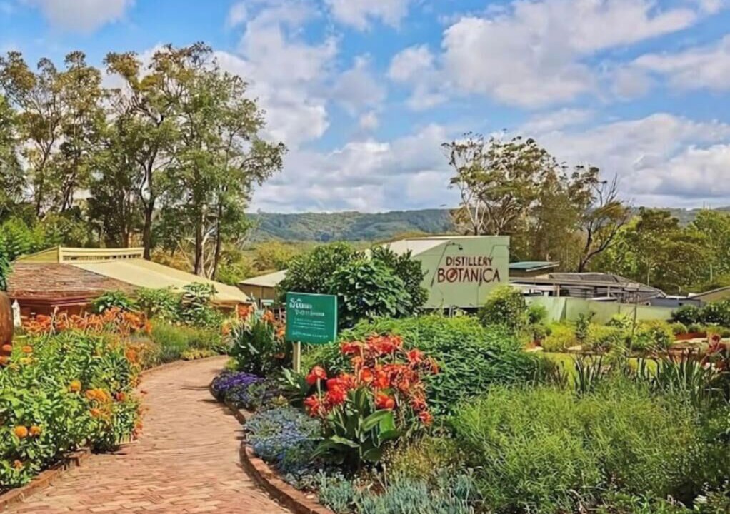 Photo of Outdoor in Saratoga