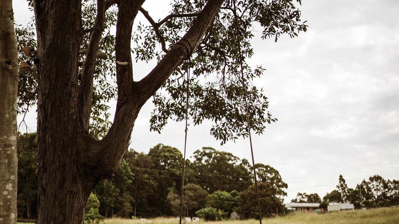 Photo of Others in Boambee East