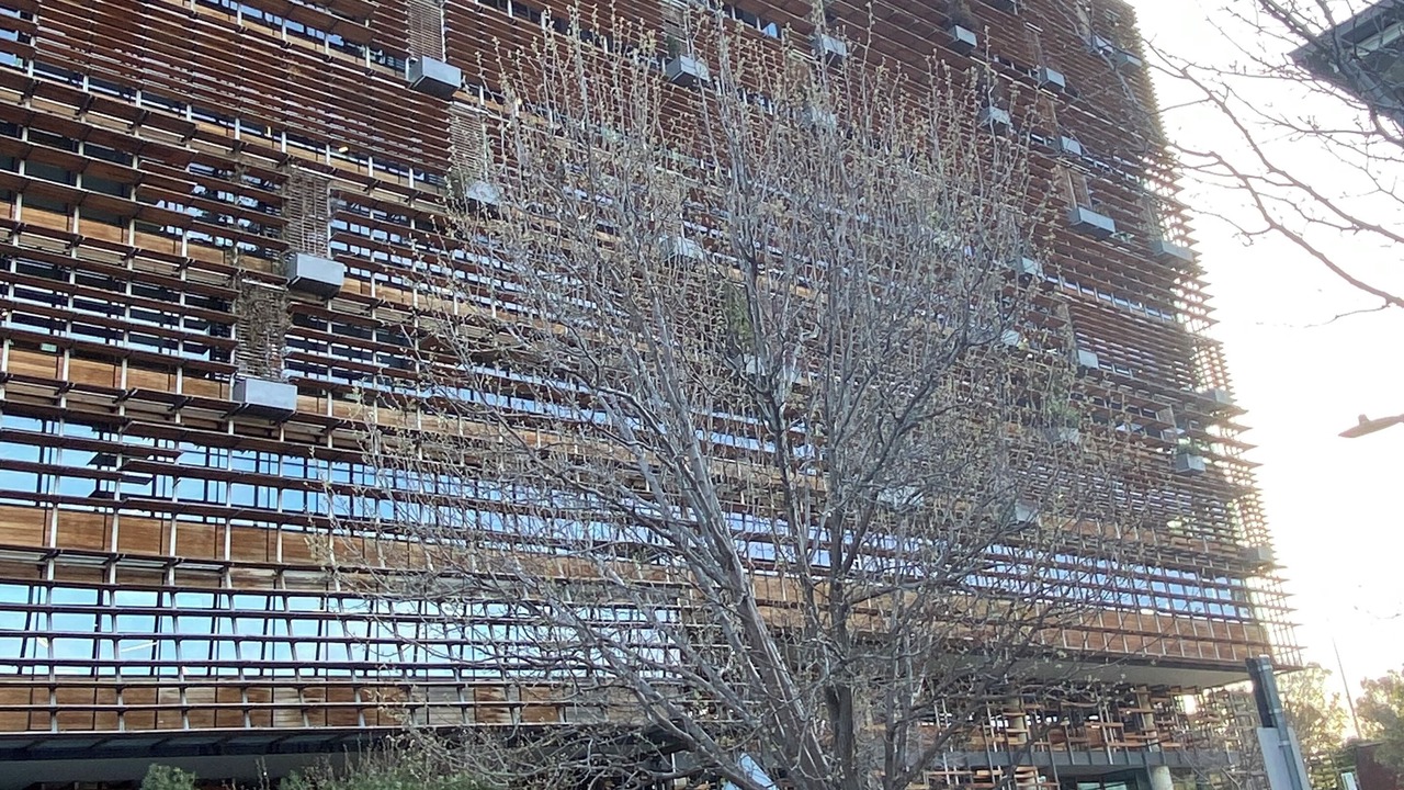 Photo of Outdoor in City West