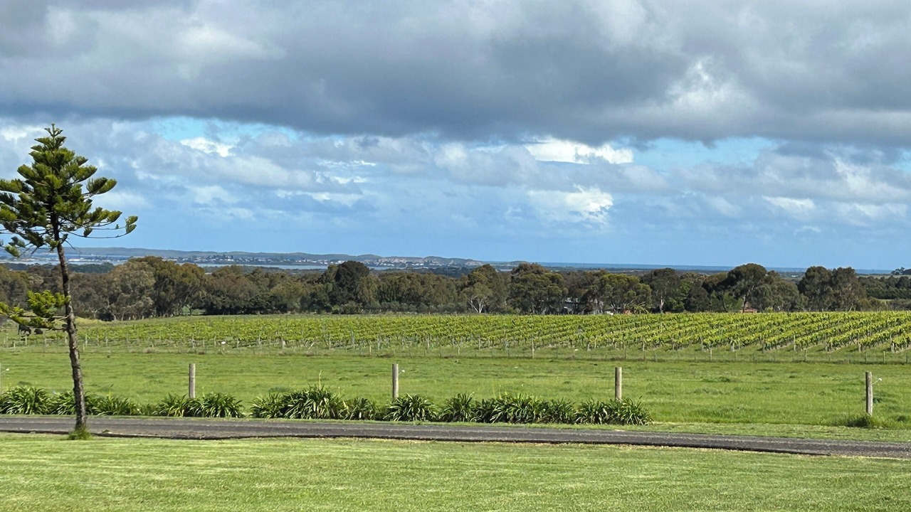 Photo of Others in Drysdale