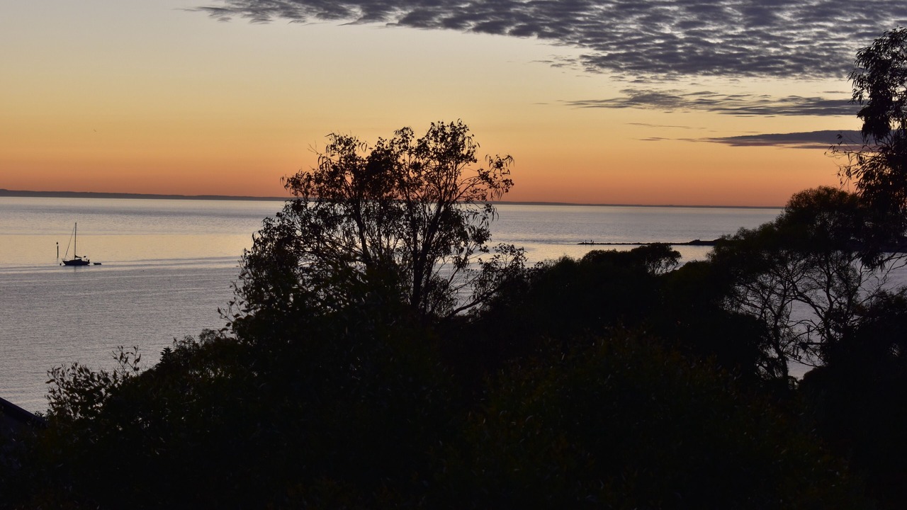 Photo of Others in Port Vincent