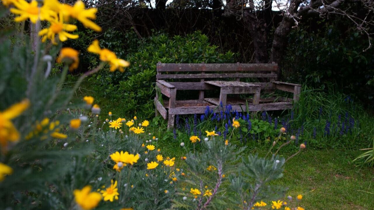 Photo of Outdoor in Mount Victoria