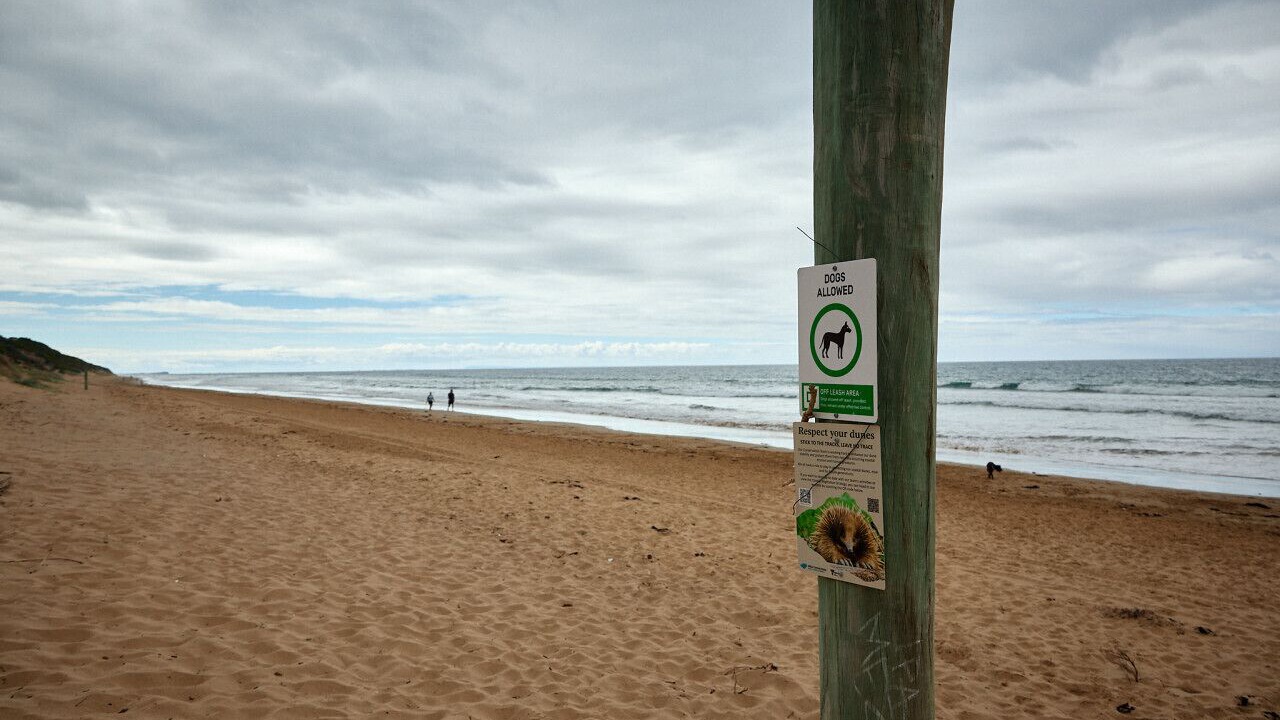 Photo of Others in Torquay
