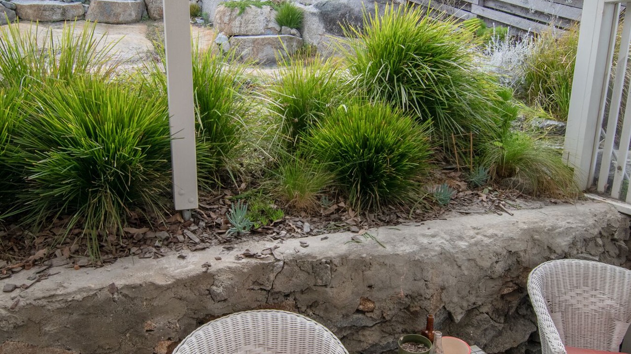 Photo of Patio Balcony in Albany