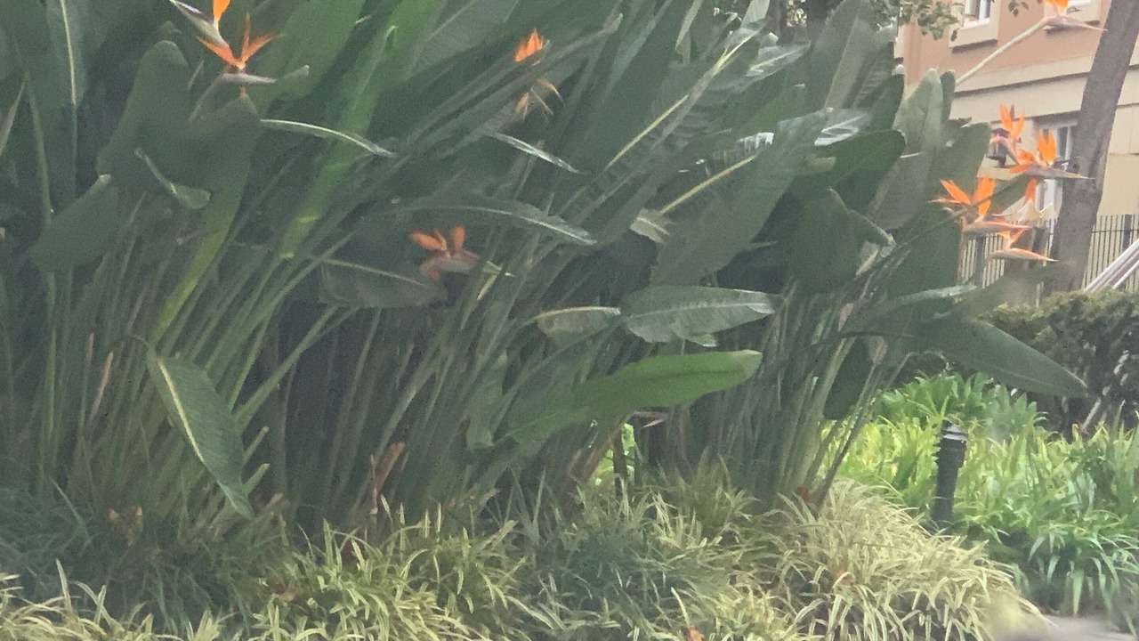 Photo of Outdoor in East Melbourne