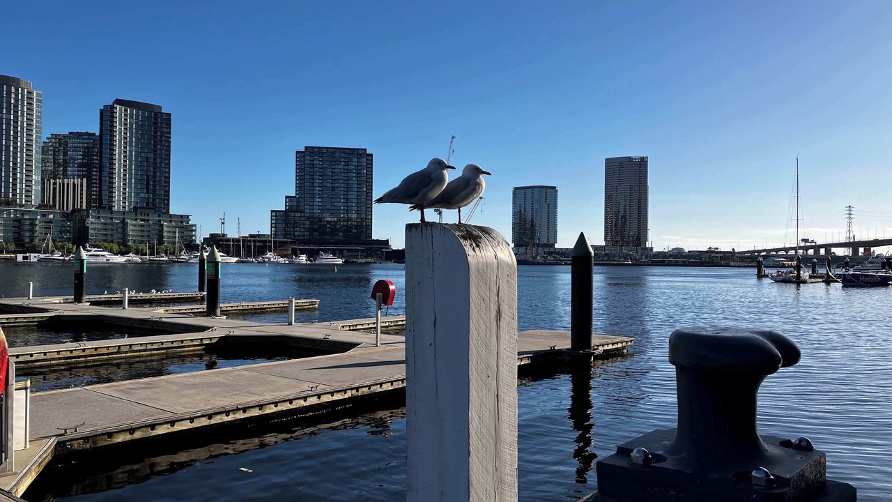 Photo of Others in Docklands