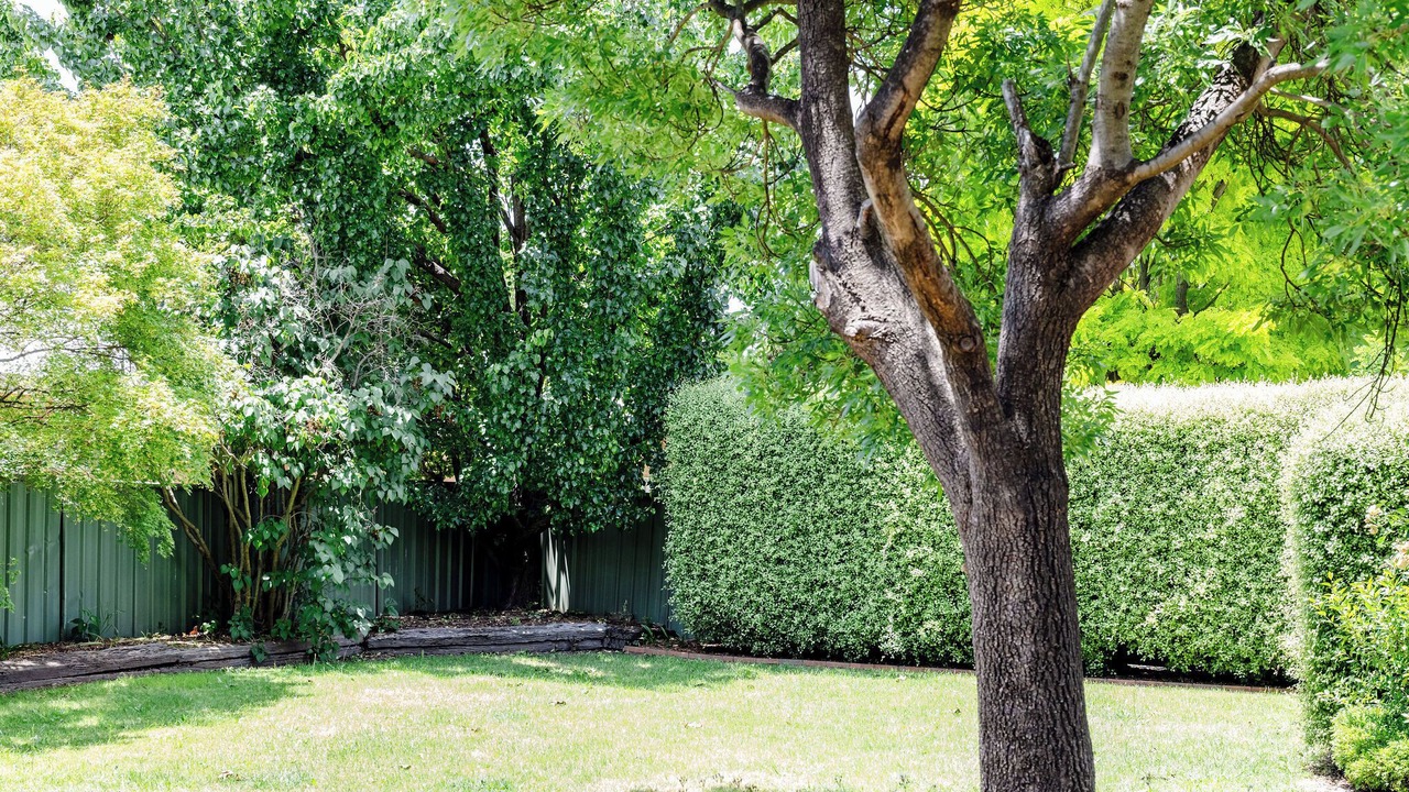 Photo of Outdoor in Orange East