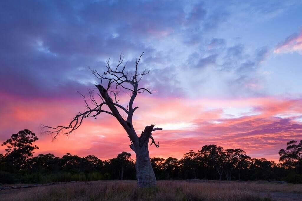 Photo of Others in Thornleigh