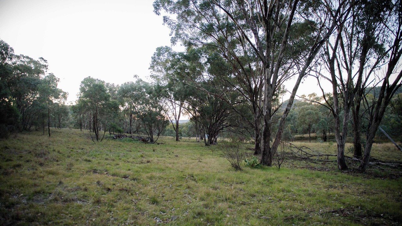 Photo of Others in Coonabarabran