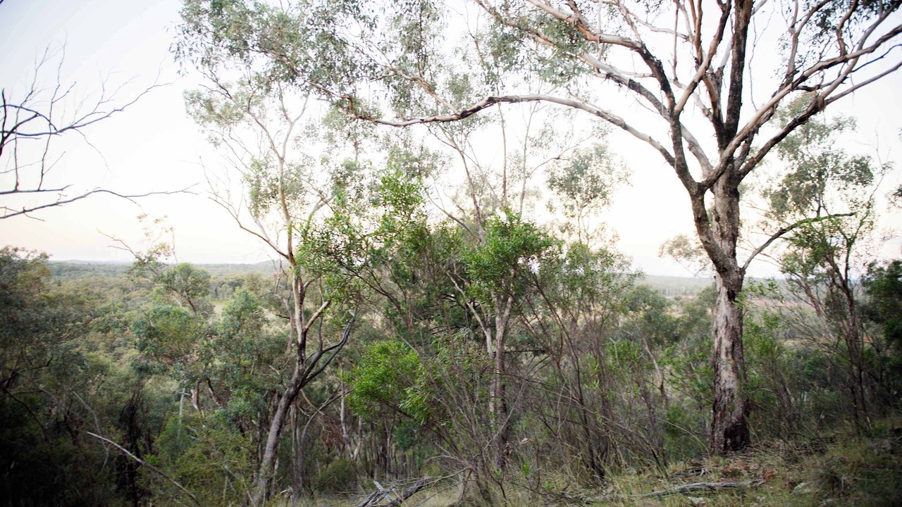 Photo of Others in Coonabarabran