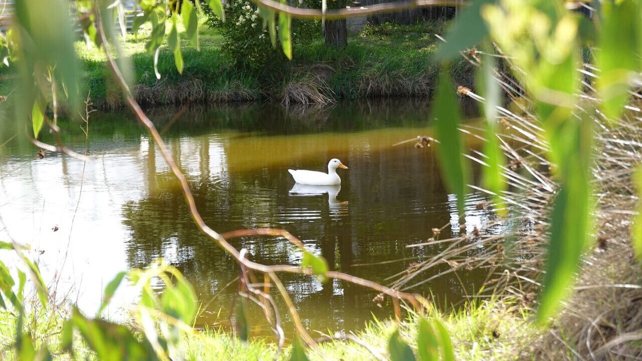 Photo of Others in Dunalley