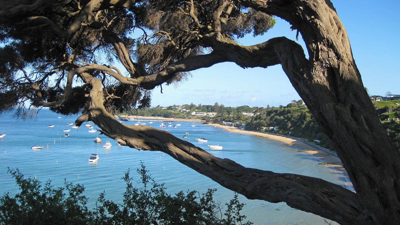 Photo of Others in Portsea