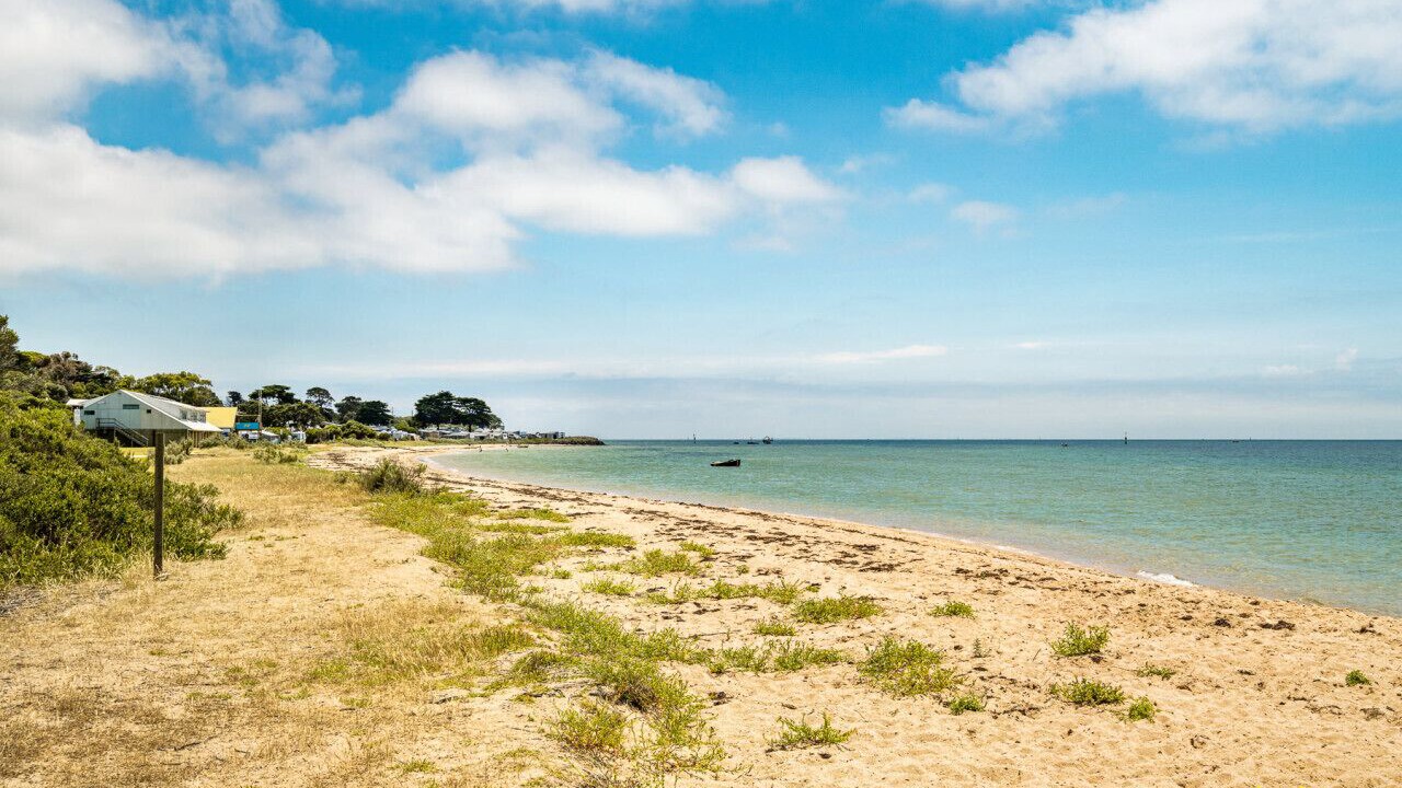 Photo of Others in Indented Head
