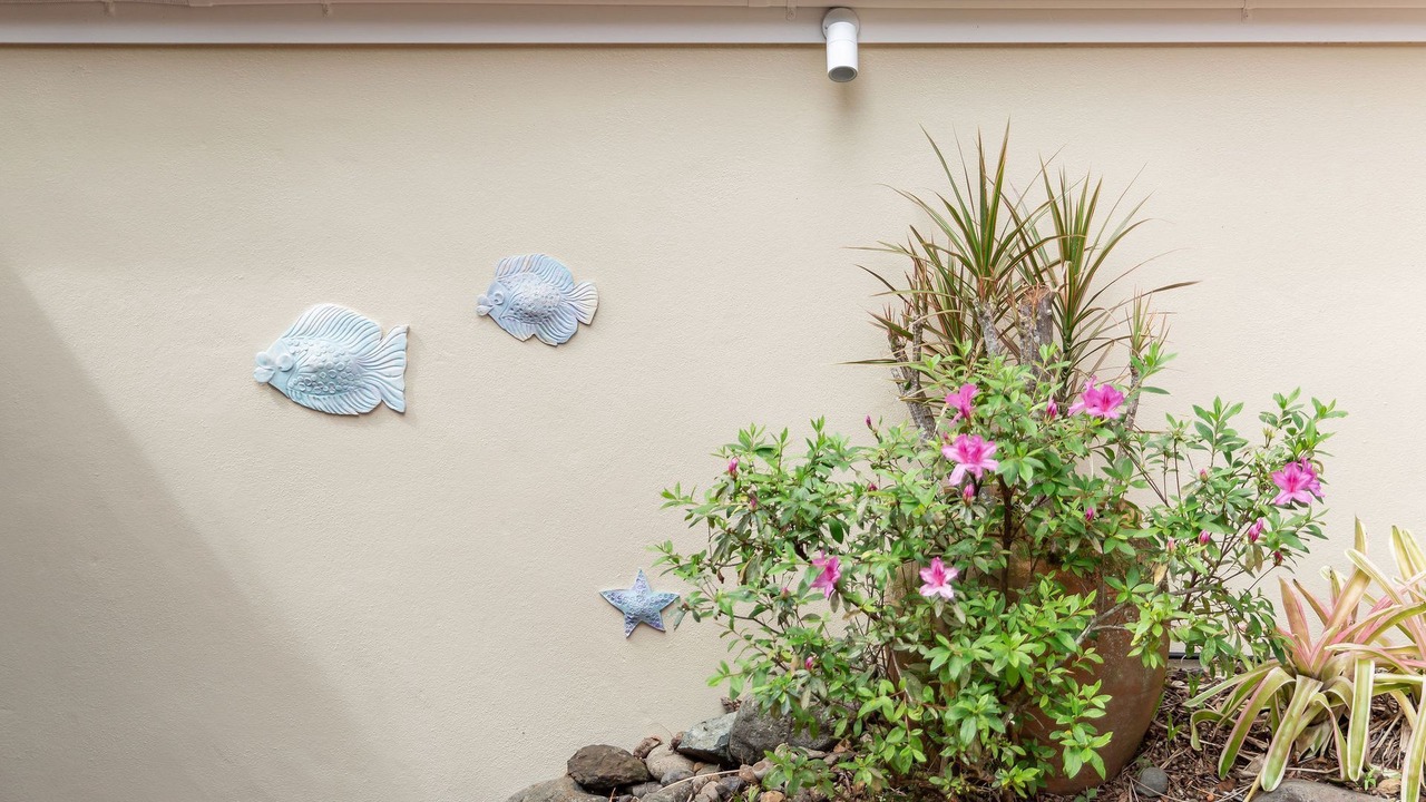 Photo of Outdoor in Noosa Heads