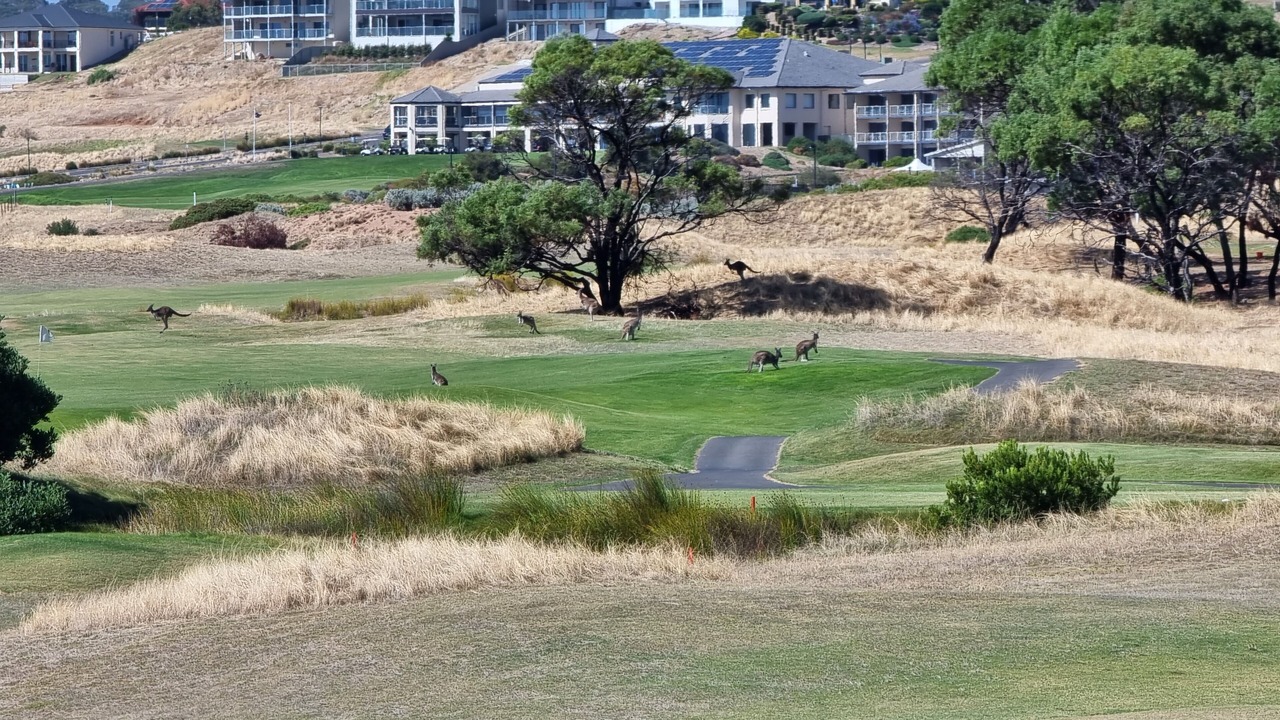 Photo of Others in Normanville