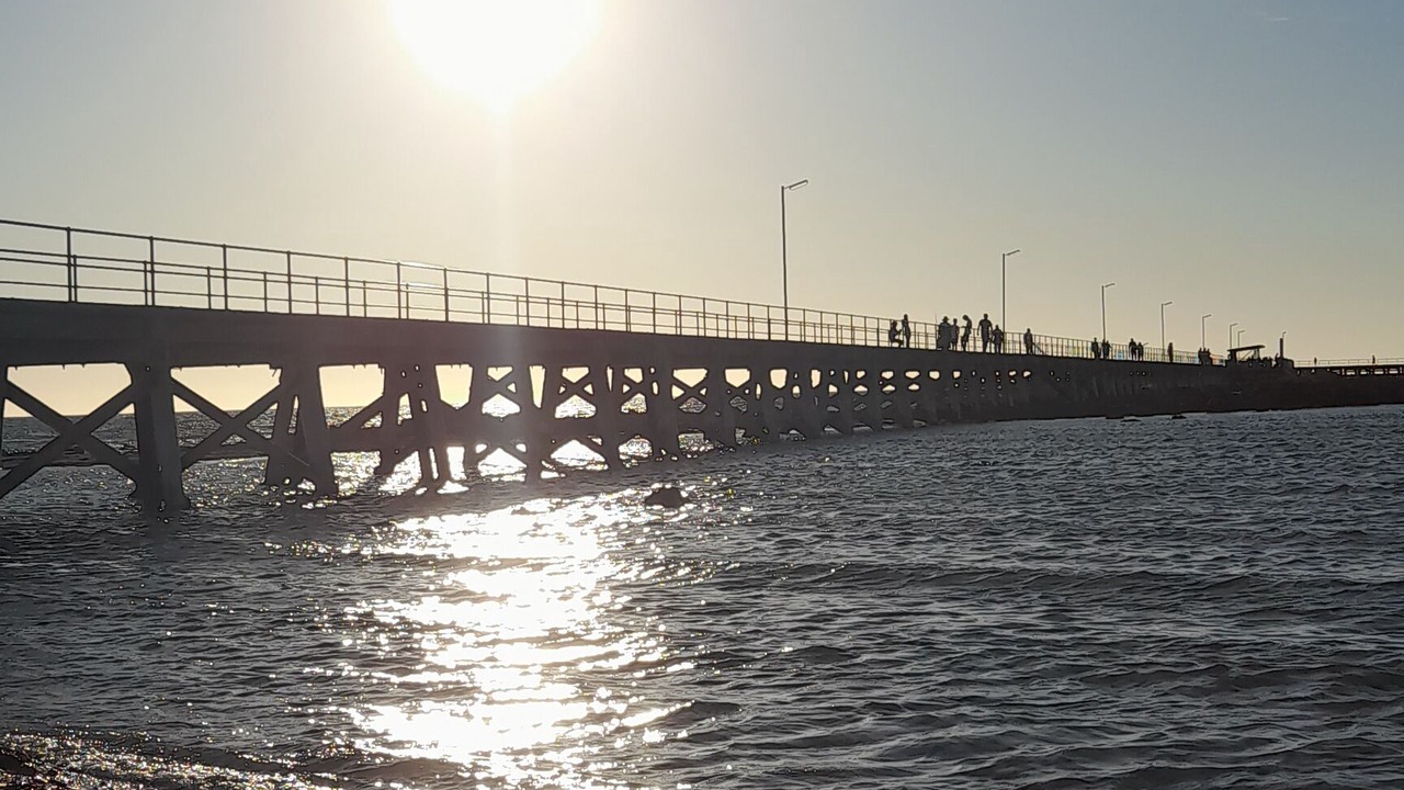 Photo of Others in Moonta