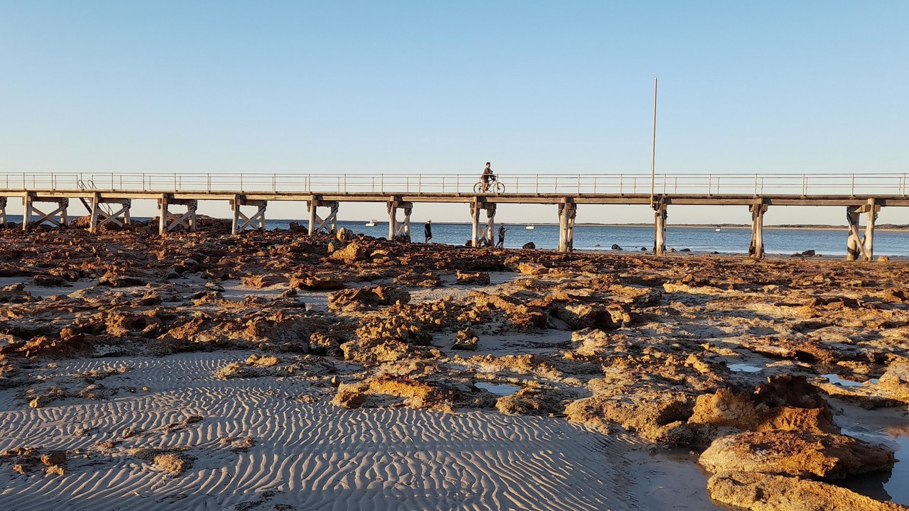 Photo of Others in Moonta