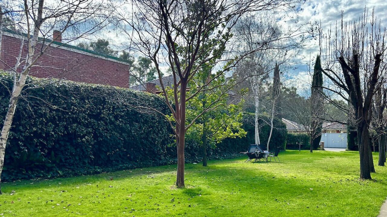 Photo of Outdoor in Wagga Wagga