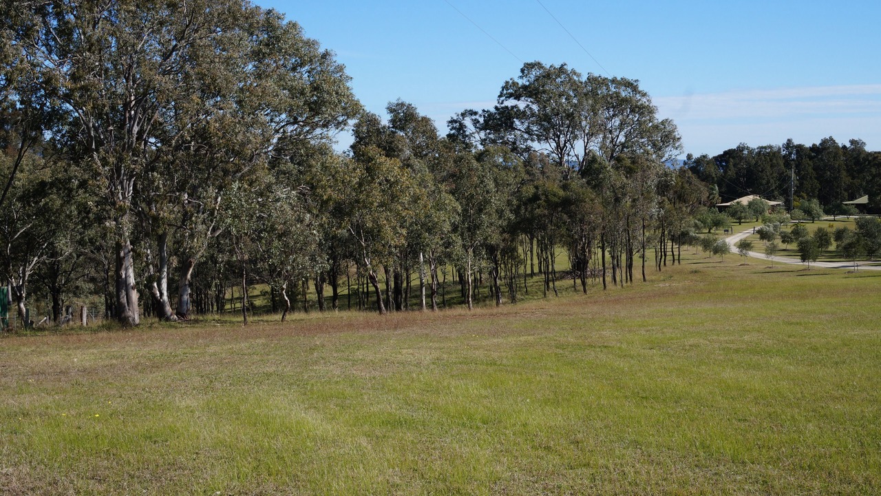 Photo of Outdoor in Pokolbin