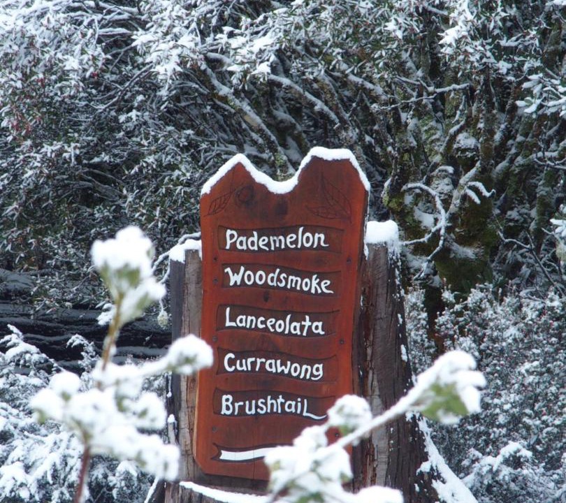 Photo of Others in Cradle Mountain