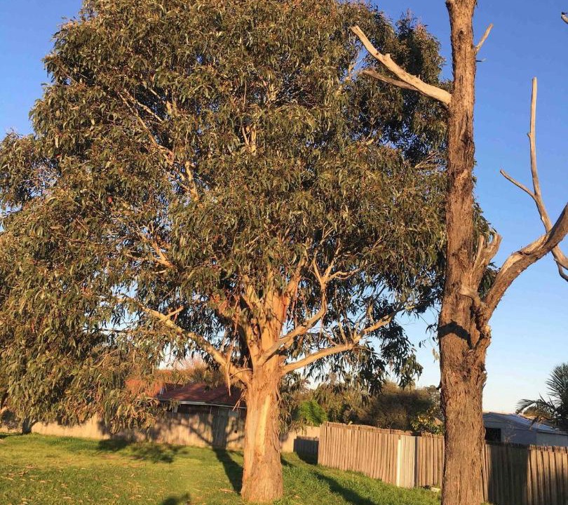 Photo of Others in Bairnsdale