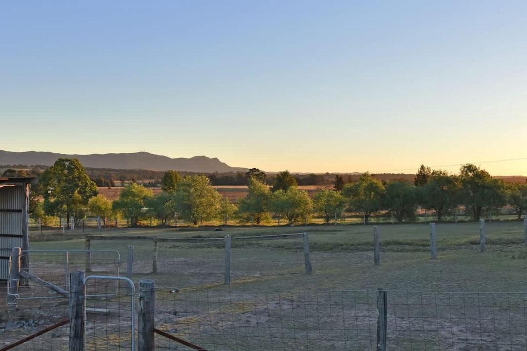 Photo of Others in Lovedale