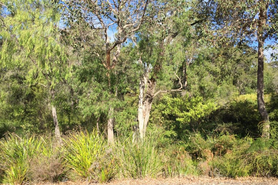 Photo of Others in Dunsborough