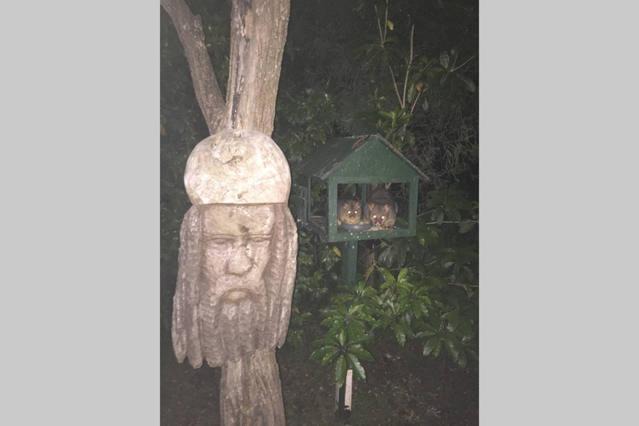 Photo of Others in Berowra Heights