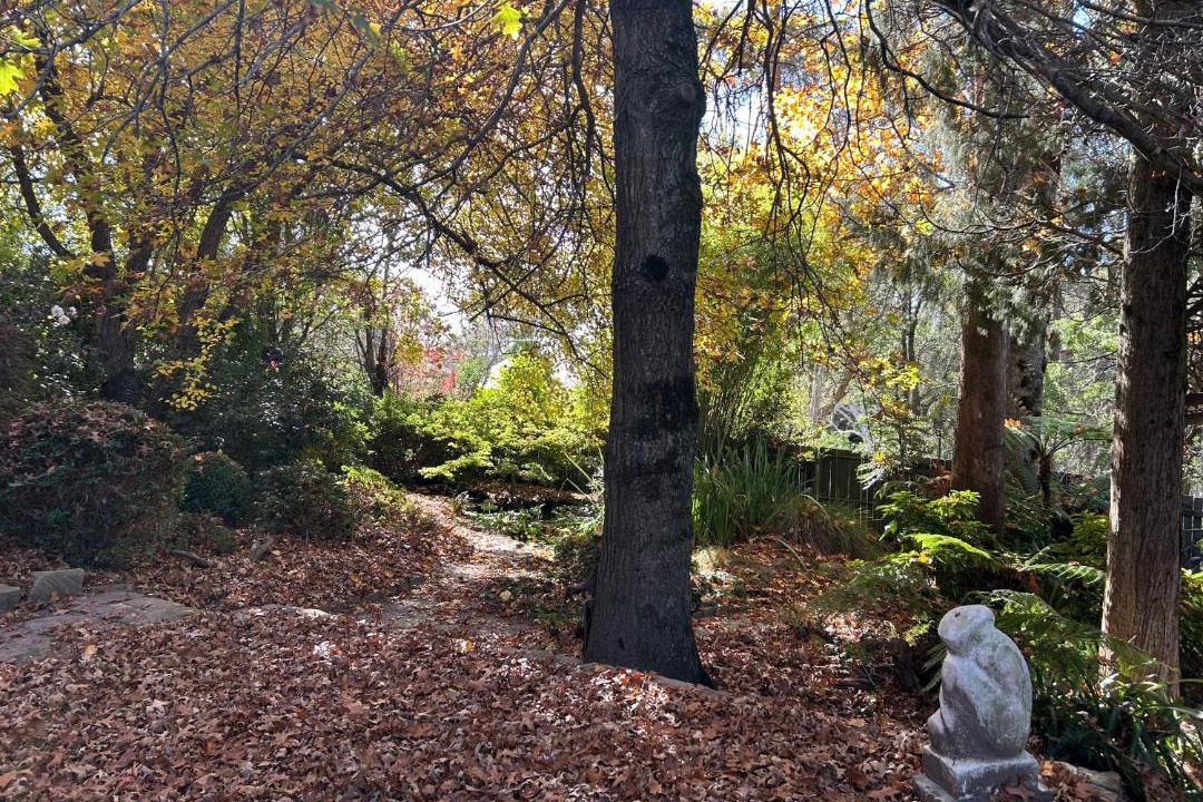 Photo of Others in Mount Victoria