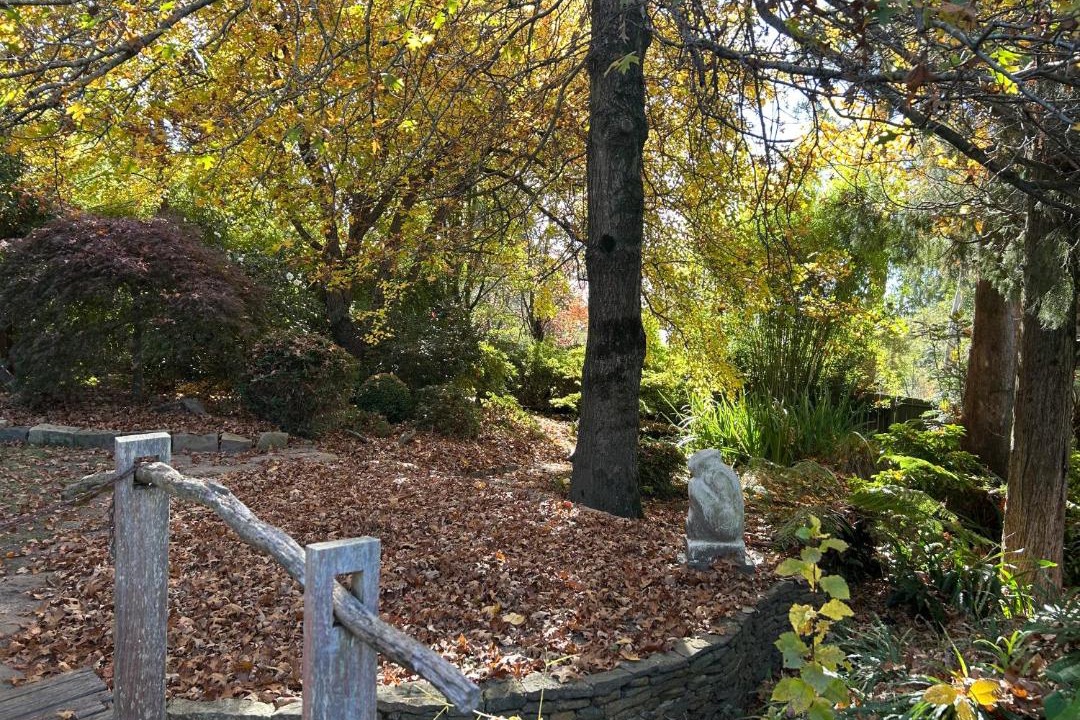 Photo of Others in Mount Victoria