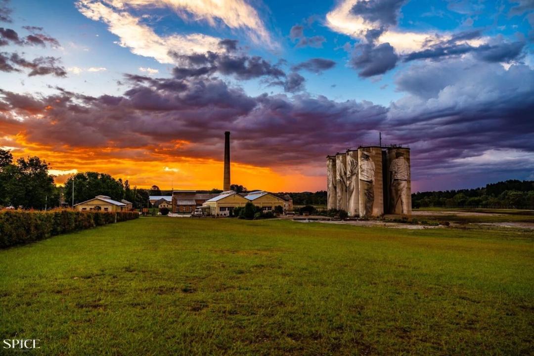 Photo of Others in Clarence