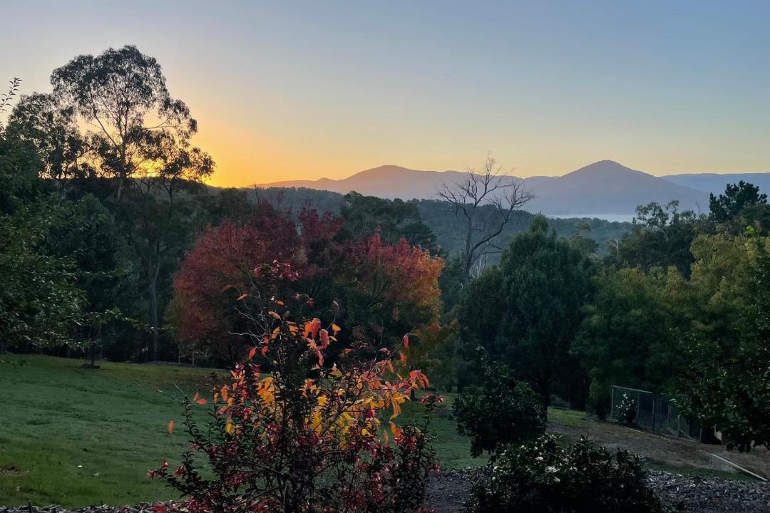 Photo of Others in Healesville