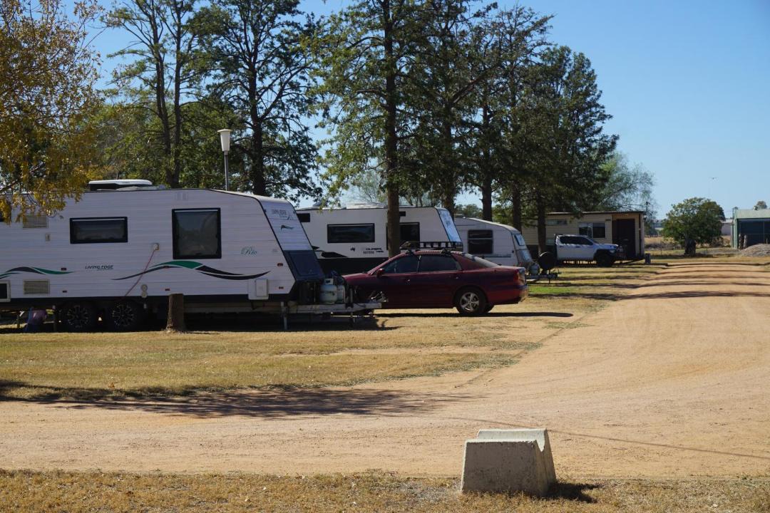 Photo of Others in Narromine