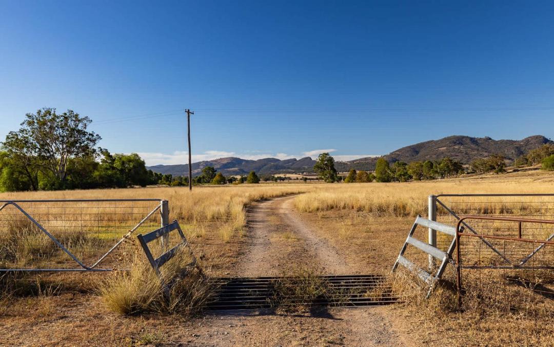 Photo of Others in Quirindi