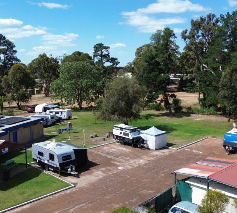 Photo of Others in Collie
